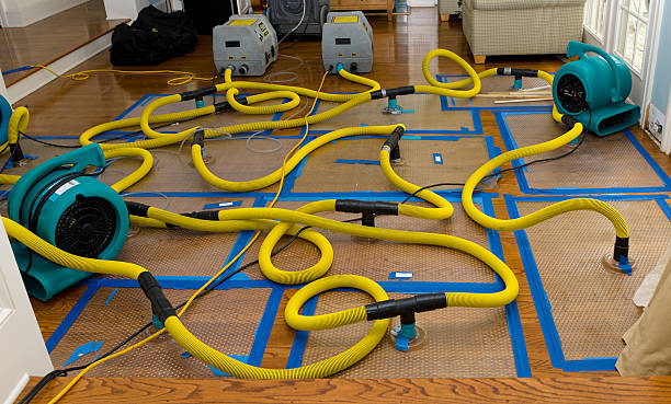 Professional Crawl Space Water Removal technician working in Redding, CT